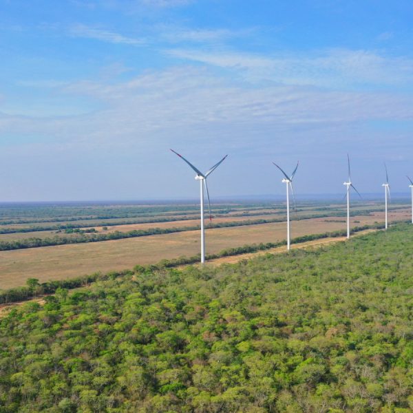 Parques eólicos de ENDE aportan 135 MW de potencia al Sistema Eléctrico Nacional