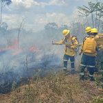 BATALLÓN DE INFANTERÍA DE MARINA I “BAGUE” SOFOCA INCENDIO FORESTAL DE MAGNITUD EN RIBERALTA PROTEGIENDO A LAS COMUNIDADES DE SAN JUAN DEL URUKU Y BAMBU SELVA.